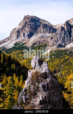 Farbenfrohe Lärchen an den Hängen rund um den Falzarego Pass im Herbst, Felswände und Gipfel des Berges Piccolo Lagazuoi in der Ferne. Cortina d Stockfoto