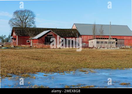 Bauernhof im Winter in Skaraborg in Vaestra Goetaland in Schweden am aunny Tag Stockfoto