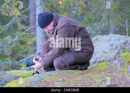 Die Person macht Fotos, die auf einem Felsen im Wald in Schweden knien Stockfoto