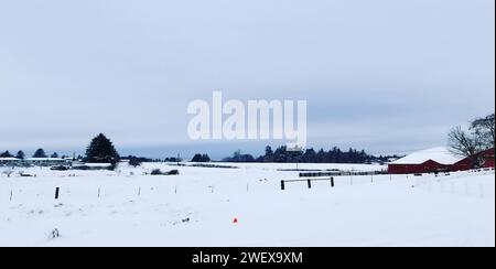 Die Atmosphäre des Grases war weiß mit Schnee bedeckt Stockfoto