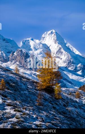 Gipfel der Berge Picolo Vernel (links) und Grand Vernel (rechts), vom Passo Giau aus gesehen nach Schneefall im Herbst. Stockfoto
