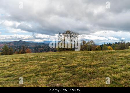 Herbst auf dem Potrojna-Hügel in der Nähe von Przelecz Kocierska in den Beskiden Maly-Bergen in Polen Stockfoto