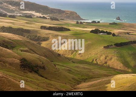 Otago-Halbinsel auf der Südinsel Neuseelands Stockfoto
