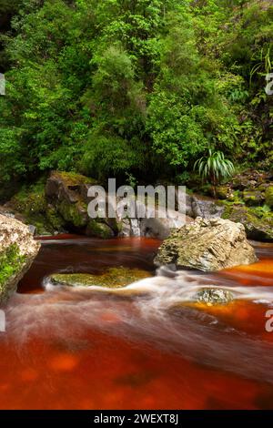 Oparara-Becken im Kahurangi-Nationalpark an der Westküste der Südinsel Neuseelands Stockfoto