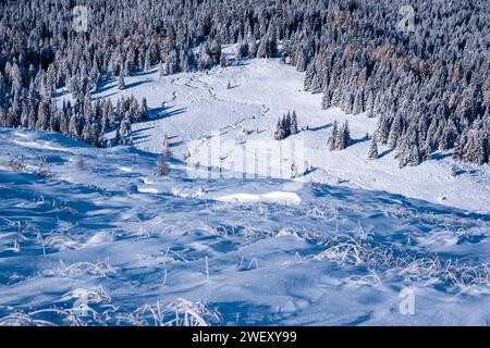 Blick aus der Vogelperspektive auf schneebedeckte Weiden und Wälder vom Gipfel des Tognazza oberhalb des Passes Rolle im Winter. Stockfoto