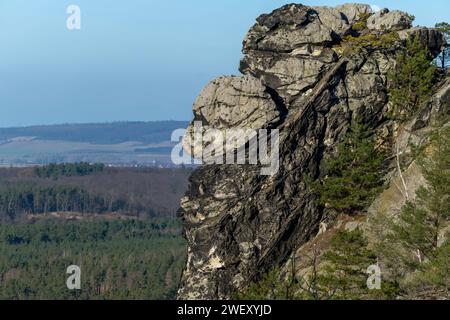 27.01.2024 bei Blankenburg im Landkreis Harz in Sachsen-Anhalt ragt verwitterter Sandtein an der Burgruine Regenstein empor. Blankenburg Sachsen-Anhalt Deutschland *** 27 01 2024 bei Blankenburg im Landkreis Harz Sachsen-Anhalt erhebt sich verwitterter Sandstein aus der Ruine der Burg Regenstein Blankenburg Sachsen-Anhalt Deutschland Stockfoto