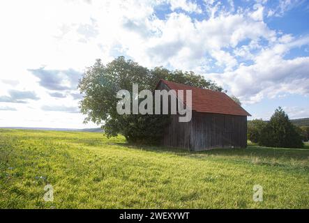 Alte Scheune in der Sommersonne Stockfoto