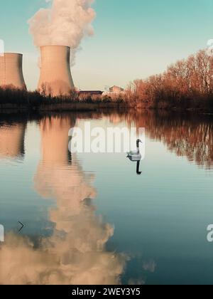 Französische Stromerzeugung und Umwelt trügerische Idylle Meereslandschaft mit einem Schwan vor dem Kernkraftwerk in der französischen Gemeinde Stockfoto