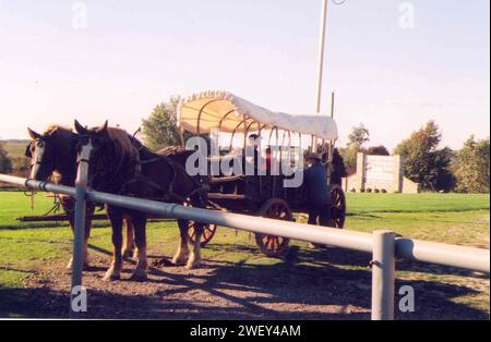 Amish Country Byway - Pferdewagen Stockfoto