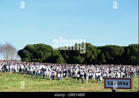 © REMY GABALDA/MAXPPP - PAMIERS 27/01/2024 4000 PERSONNES ONT MARCHE DANS LES RUES DU CENTRE DE PAMIERS EN LA MEMOIRE ALEXANDRA ET CAMILLE MORTES DANS UN ACCIDENT DE VOITURE SUR UN BARRAGE D AGRICULTEURS LA MARCHE BLANCHE EN HOMMAGE À ALEXANDRA ET CAMILLE SONAC, Décédées après avoir été fauchées au petit matin du mardi 13 janvier sur un barrage d'agriculteurs à Pamiers (Lot-et-Garonne), a réuni ce samedi « environ 4 000 personnes », selon la préfecture. Pamiers, Frankreich, am 27. januar 2024 startete die Prozession gegen 13:30 Uhr vor dem Landwirtschaftsgymnasium Pamiers. Zwischen 3.000 und Stockfoto