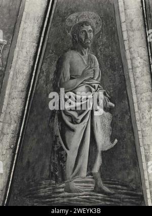 Andrea del Castagno - Francesco da Faenza - Dio Padre in gloria tra san Giovanni Battista, 37440 gw. Stockfoto