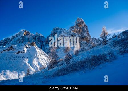 Die Gipfel der Pala-Gruppe, Cimon della Pala in der Mitte, von oberhalb des Passo Rolle gesehen, passieren im Winter. San Martino di Castrozza Trentino-Südtirol IT Stockfoto