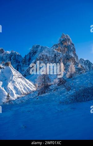 Die Gipfel der Pala-Gruppe, Cimon della Pala in der Mitte, von oberhalb des Passo Rolle gesehen, passieren im Winter. San Martino di Castrozza Trentino-Südtirol IT Stockfoto