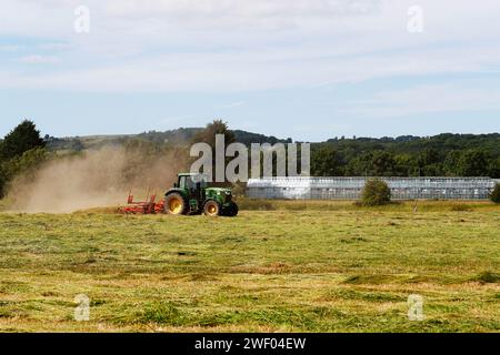 Heu machen, wenn Heu gewendet, getedet und auf dem Feld getrocknet wird, kann Wildblumensamen auf die Wiese zurückkehren. Stockfoto