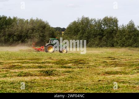 Heu machen, wenn Heu gewendet, getedet und auf dem Feld getrocknet wird, kann Wildblumensamen auf die Wiese zurückkehren. Stockfoto