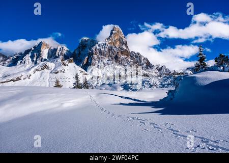 Die Gipfel der Cima dei Bureloni, Cima della Vezzana und Cimon della Pala von links der Pala-Gruppe, von oberhalb des Passo Rolle gesehen, passieren im Winter. San Mar Stockfoto