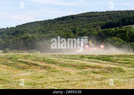 Heu machen, wenn Heu gewendet, getedet und auf dem Feld getrocknet wird, kann Wildblumensamen auf die Wiese zurückkehren. Stockfoto