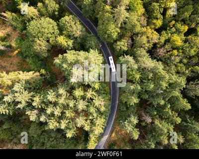 Blick von oben nach unten auf einen Bus, der die Kurve entlang der schmalen Straße zwischen dem grünen Wald in deutschland umfährt Stockfoto