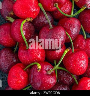 Rote Kirschen Stockfoto