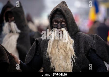 Pernik, Bulgarien - 27. Januar 2024: Maskerade-Festival zum 30. Geburtstag in Pernik Bulgarien. Leute mit einer Maske namens Kukeri tanzen und spielen zu sc Stockfoto