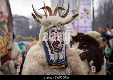 Pernik, Bulgarien - 27. Januar 2024: Maskerade-Festival zum 30. Geburtstag in Pernik Bulgarien. Leute mit einer Maske namens Kukeri tanzen und spielen zu sc Stockfoto