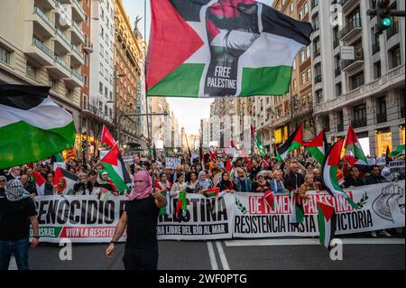 Madrid, Spanien. Januar 2024. Menschen, die palästinensische Flaggen schwenken, protestieren während einer Demonstration zur Unterstützung des palästinensischen Volkes. Tausende von Menschen sind durch das Stadtzentrum marschiert, um einen Waffenstillstand in Gaza zu fordern, während die israelischen Angriffe weiter anhalten. Seit dem 7. Oktober 2023 sind im Gazastreifen mehr als 26.000 Palästinenser infolge israelischer Luftangriffe und Angriffe während des Konflikts zwischen Israel und Palästina getötet worden. Quelle: Marcos del Mazo/Alamy Live News Stockfoto