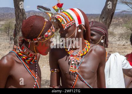 Samburu-Leute Junge Krieger aus dem Samburu-Stamm Stockfoto