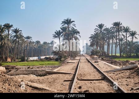 Dahshur, Ägypten - 2. Januar 2024: Palmenhain und Eisenbahn in Dahshur Stockfoto