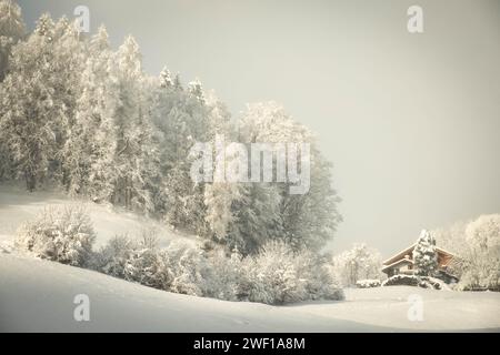 Wunderschöne Schneelandschaft mit großen schneebedeckten Bäumen, ein Holzhaus in der Mitte, blauer Himmel zwischen den Wolken Stockfoto