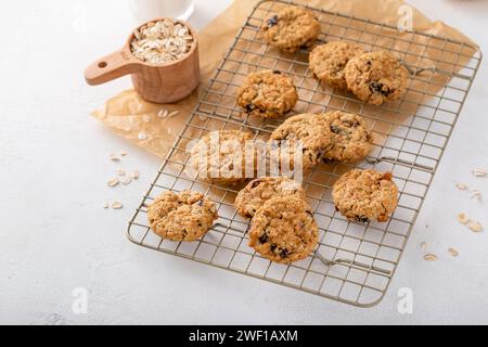 Gesunde Frühstücksplätzchen mit Hafer, Banane und trockener Preiselbeere auf einem Kühlregal Stockfoto