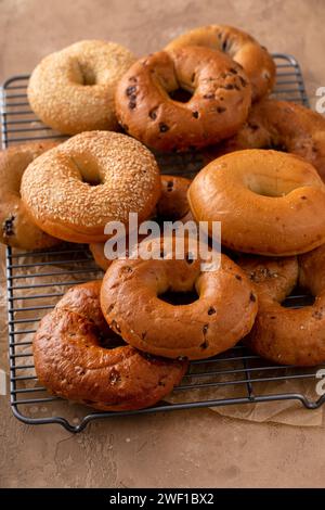 Auswahl an Bagels, die zum Frühstück frisch gebacken wurden, mit Sesam und Zimtrosinen Stockfoto