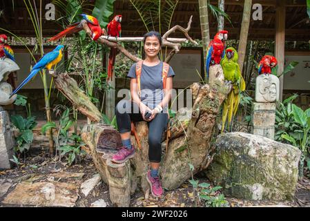 Touristen umgeben von Aras am Macaw Mountain, Copan Ruinas, Honduras Stockfoto