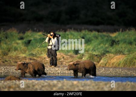 Braunbären, Ursus arctos, Grizzlybären, Ursus horribils, Lachsfischen, ostküste des Katmai National Park, Alaska Halbinsel Stockfoto