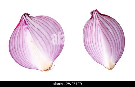 Die Draufsicht der frischen roten oder violetten Zwiebelhälfte und der Schicht oder des Viertels im Set ist auf weißem Hintergrund mit Beschneidungspfad isoliert. Stockfoto