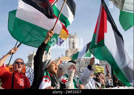 Madrid, Spanien. Januar 2024. Die Demonstranten rufen während eines solidaritätsmarsches für Palästina Slogans. Die Versammlung von Madrid mit palästinensischer Demonstration unter dem Motto "stoppt den Völkermord " war Zeuge der leidenschaftlichen Stimmen zahlreicher Einzelpersonen, die sich für eine gemeinsame Sache gegen Unrecht verbündeten. Quelle: SOPA Images Limited/Alamy Live News Stockfoto