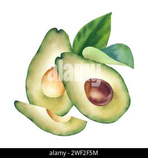 Avocado in Aquarellfarben. Eine handgezeichnete Illustration auf weißem Hintergrund. Saftiges und süßes Obst und Gemüse. Clipart, Vorlage, Komposition für Designe Stockfoto
