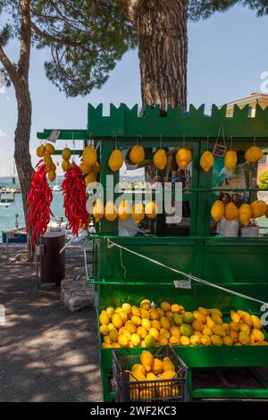 Stand mit Chili und Zitrusfrüchten (Citrus medica), Cedrat, Gardasee, Sirmione, Provinz Brescia, Lombardei, Italien Stockfoto