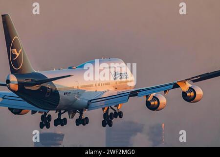 Flugzeug nähert sich am frühen Morgen dem Frankfurter Flughafen, Fraport Airport, D-ABVY, LUFTHANSA, BOEING 747-400, Frankfurt am Main, Hessen, Deutschland Stockfoto