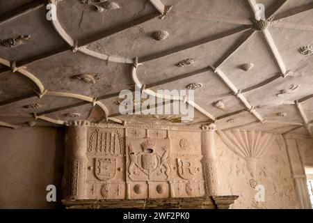 Vereinigtes Königreich, Wales, Gwynedd, Conwy (Conway), Stadtzentrum, C16th Plas Mawr, Salon, Gipskamin Dekoration und verzierte Decke Stockfoto