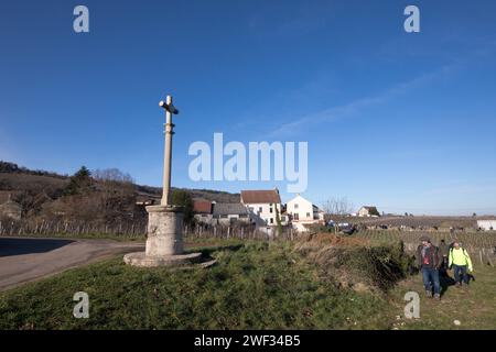 Chambolle Musigny, Frankreich. Januar 2024. © JC Tardivon/MAXPPP - Chambolle-Musigny 27/01/2024 Teilnehmer dans les vignes autour du Village Morey-Saint-Denis 27/2024 Saint Vincent Rotation in Burgund 2024. Unter den Traditionen, Induktionen in die Bruderschaft der Ritter von Tastevin, Messe und Prozession in den Weinbergen. Quelle: MAXPPP/Alamy Live News Stockfoto