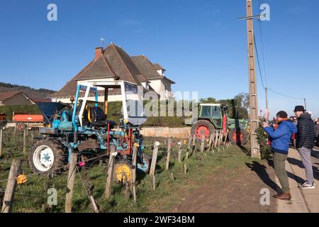 Chambolle Musigny, Frankreich. Januar 2024. © JC Tardivon/MAXPPP - Chambolle-Musigny 27/01/2024 Dekorationen Morey-Saint-Denis 01/27/2024 St. Vincent Rotation in Burgund 2024. Unter den Traditionen, Induktionen in die Bruderschaft der Ritter von Tastevin, Messe und Prozession in den Weinbergen. Quelle: MAXPPP/Alamy Live News Stockfoto