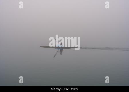 Grado, Italien - 28. Januar 2024: Mädchen übt Rudern während eines Tages dicken Nebels im Grado-Meer. Intensiver Sport mit Kanu/Kajak. Stockfoto