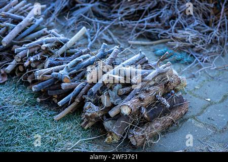 Gartenabfälle im Garten mit Brennholz Stockfoto