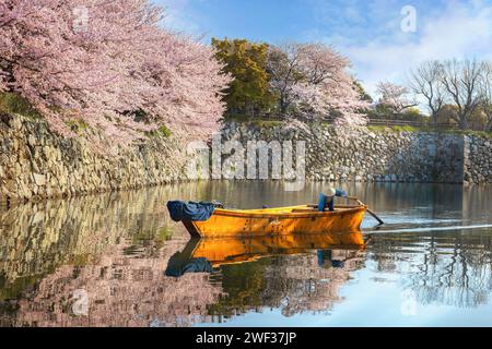 Hyogo, Japan - 4. April 2023: Unbekannte Menschen fahren mit dem Himeji-Boot um den äußeren Graben der Himeji-Burg während der vollen Blütezeit der Sakura in sprin Stockfoto