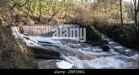 Rund um Großbritannien - Weir & Fish Leiter am Fluss Yarrow, Chorley Stockfoto