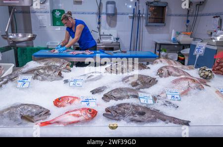 Frischer Fisch auf dem Markt von Los Christianos auf der Kanarischen Insel Teneriffa. Stockfoto