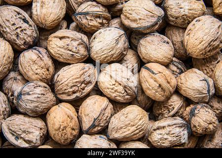 Nahaufnahme eines Haufens frisch geernteter Walnüsse, der Frucht des Walnussbaums, Juglans regia Stockfoto