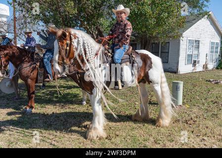 Cowboy sitzt im Sattel auf einem Pferd mit geflochtener Mähne und wartet auf den Beginn der 92. Jährlichen Texas Citrus Fiesta Parade of Oranges, Mission, Texas, USA. Stockfoto