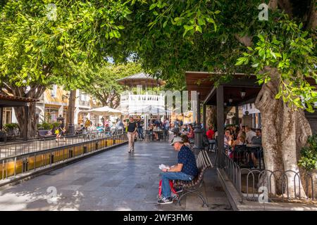 Touristen und Einheimische sitzen inmitten der von Bäumen gesäumten Plaza de La Alameda im Schatten der Kanarischen Insel Santa Cruz, La Palma, Spanien. Stockfoto