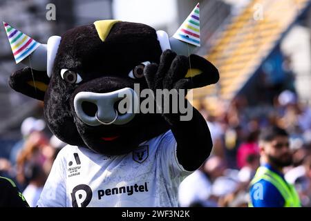 28. Januar 2024; Campbelltown Stadium, Sydney, NSW, Australien: A-League Football, MacArthur FC gegen Perth Glory; Arthur, Macarthur FC Maskottchen unterhält die Menge Stockfoto